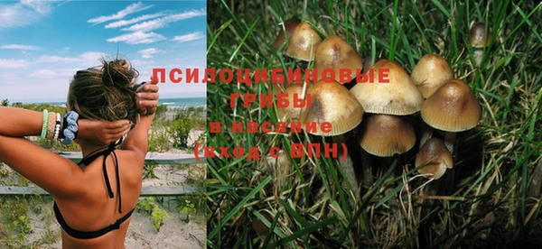 хмурый Волосово