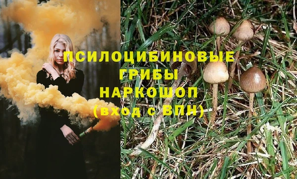 не бодяженный Володарск