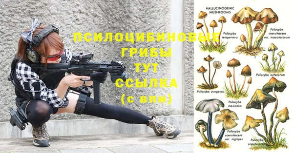 хмурый Волосово