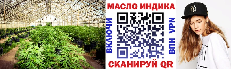 Купить где  Лакинск  ТГК THC oil 