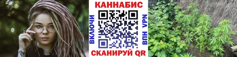 Бошки марихуана планчик  Купить закладки  Лакинск 